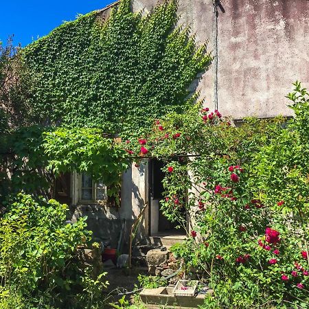 Le Mas Du Figuier, Maison De Vacances Le Bousquet-d'Orb ภายนอก รูปภาพ