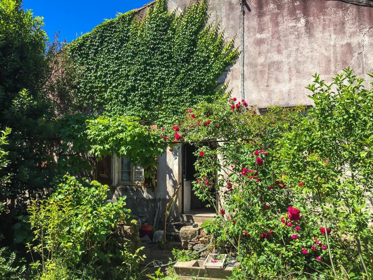 Le Mas Du Figuier, Maison De Vacances Le Bousquet-d'Orb ภายนอก รูปภาพ