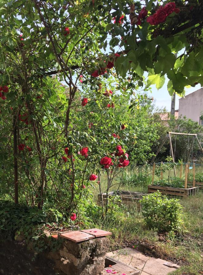 Le Mas Du Figuier, Maison De Vacances Le Bousquet-d'Orb ภายนอก รูปภาพ