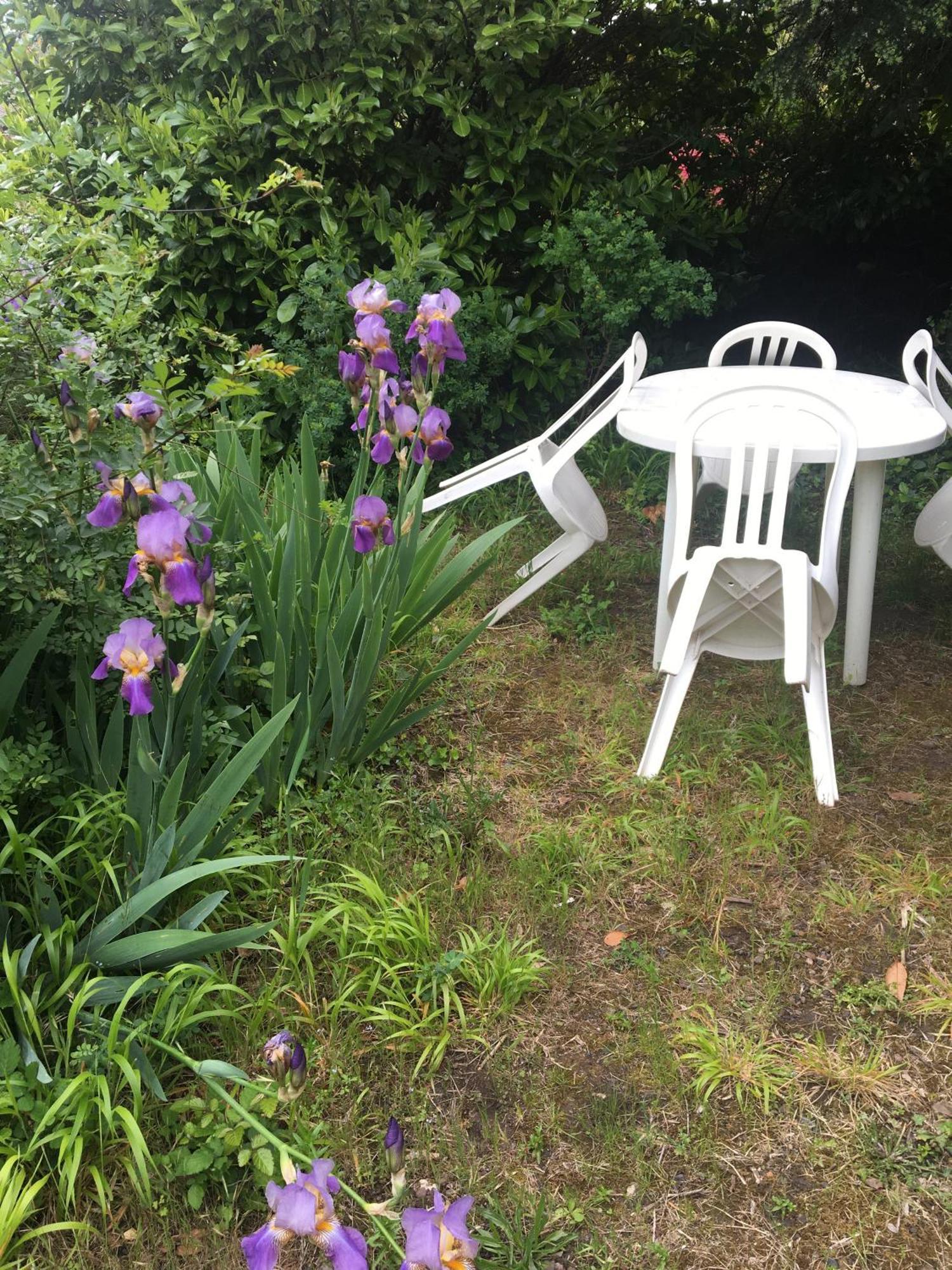 Le Mas Du Figuier, Maison De Vacances Le Bousquet-d'Orb ภายนอก รูปภาพ